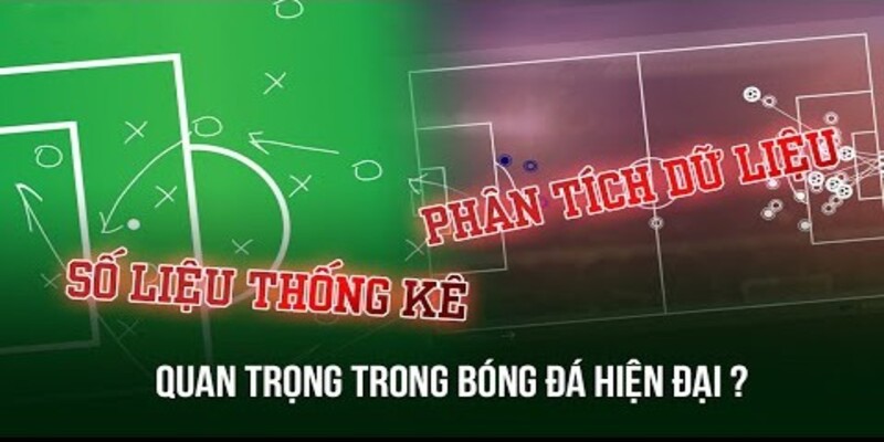 Phân tích thống kê dữ liệu chi tiết tại 7m