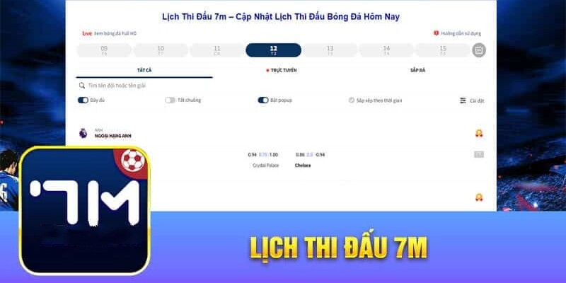 Sơ lược về lịch thi đấu 7M